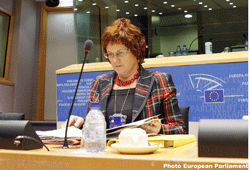 Sharon Bowles, Economic and Monetary Affairs Committee