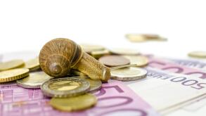 Garden snail sitting on Euro banknotes and coins.