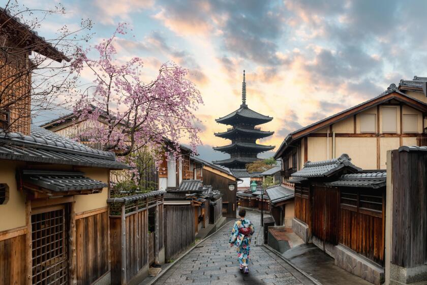 Asian women wearing traditional japanese kimono in Yasaka Pagoda and Sannen Zaka Street with Cherry blossom season in Kyoto, Japan