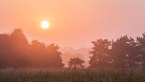 Sunrise over prairie, Dakota County, late summer, MN, USA, by Dominique Braud/Dembinsky Photo Assoc