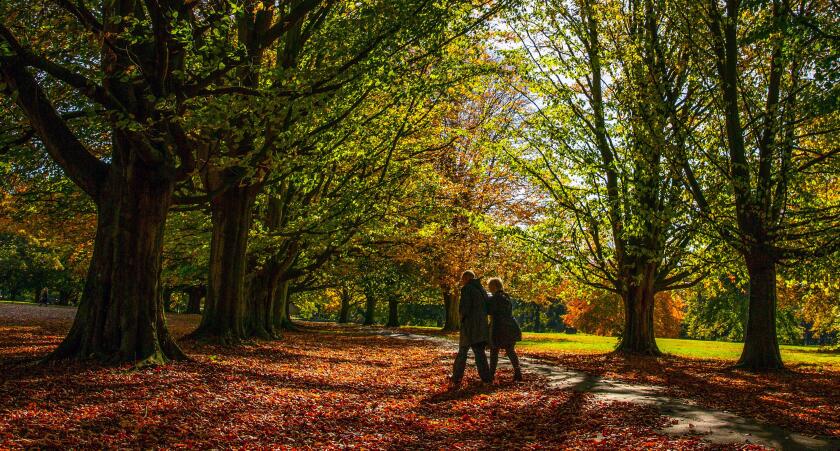 EMBARGOED TO 2330 TUESDAY OCTOBER 21 File photo dated 09/10/18 of walkers passing through the fallen autumnal leaves in Clarke's Gardens, Allerton, Liverpool. Older women who clock up 4,000 steps a day just once or twice a week cut their chance of early d