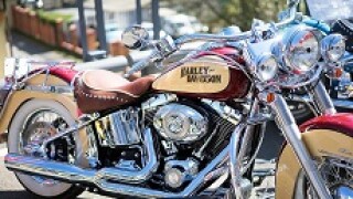 Harley