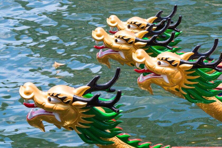 Boats racing-adobe-2022