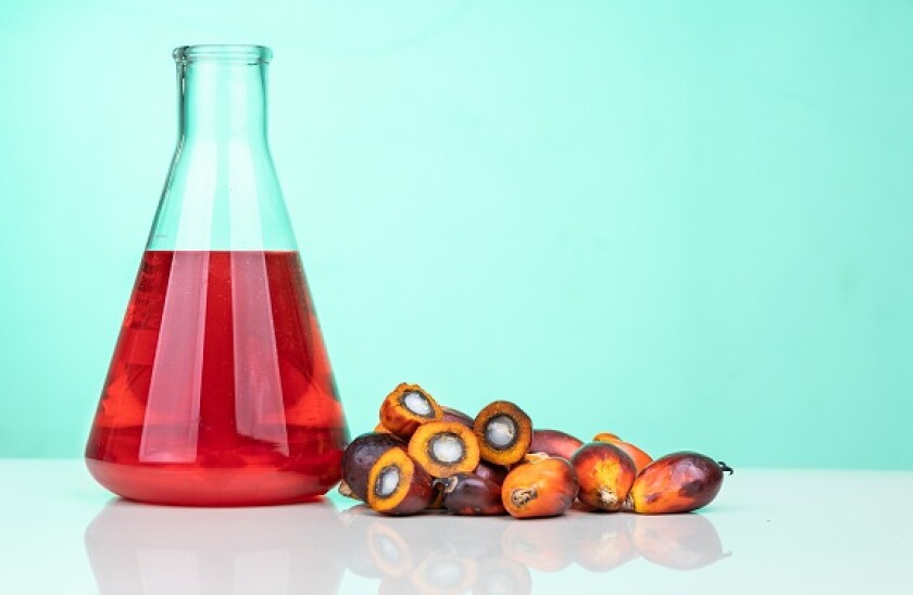 Adobestock_palm oil_575x375_june21