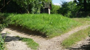 bifurcation of the road