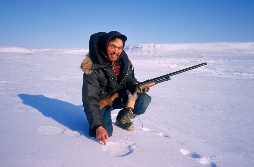 Hunter, Polar bear tracking, Franklin Island, Nunavut, Canada