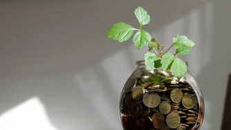 money jar plant from Alamy.png