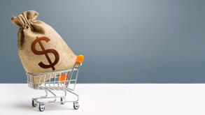 Dollar money bag on a shopping cart. Profits and super profits. Loans and microloans. Minimum living wage. Consumer basket. Business and trade concept