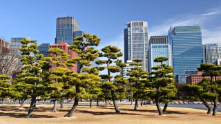 Tokyo, Japan's Marunouchi Business District viewed from the grounds of Tokyo Imperial Palace.