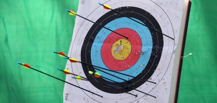 Hoppegarten, Germany, arrows stuck in a target