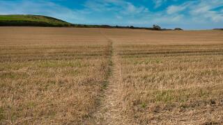 A trodden path across a field of stubble on a sunny day at the end of summer in the UK