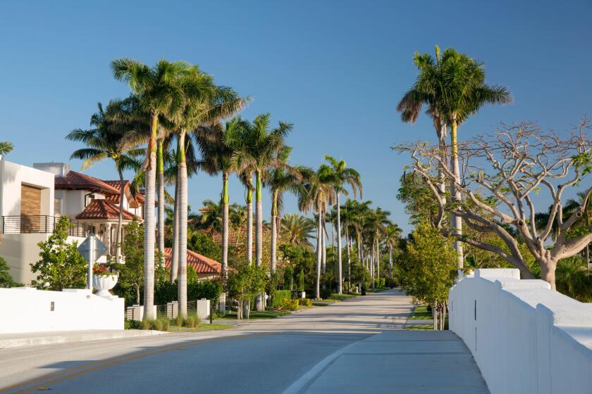 Fort Lauderdale, Florida, USA. View along exclusive Royal Palm Drive, a typical residential tree-lined avenue in the Nurmi Isles district.