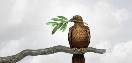 Peace through strength foreign policy concept represents military power as a powerful and strong war hawk holding an olive branch for freedom.