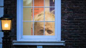 London, UK. 05th July, 2022. A giant print of Boris Johnson's face is seen still hanging in one of the offices at the Conservative Party Headquarters in Matthew Parker Street, Westminster, a few minutes walk from Downing Street. Credit: Imageplotter/Alamy