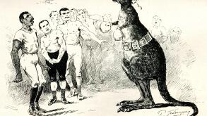Cartoon, Boxing Kangaroo, What is the Profession coming to?