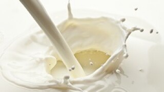 milk_churn_230px