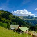 Austria, Tyrol, Juifen, Baier mountain pasture at way to Rotwand mountain pasture