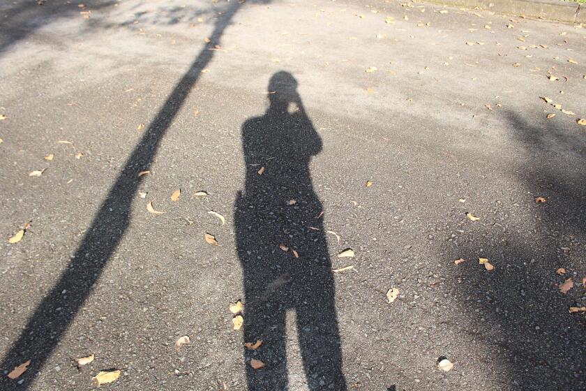 shadow of a person and a tree on the ground