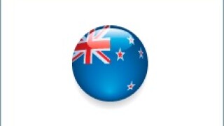New Zealand icon 230px
