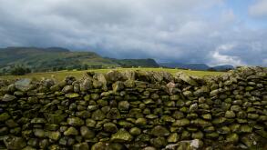 Lake District Cumbria England stone wall separating two fields