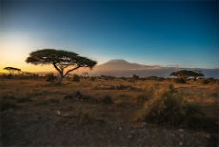 Kilimanjaro_fotolia_230x150