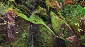 A small dried up waterfall, revealing moss and algae indicating the colours of nature. An abstract view