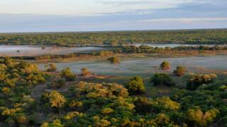 Aerial view, early morning in the Kasanka National Park, Zambia