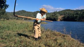 Man cutting grass with scythe, Pinar del Rio, Cuba, Caribbean Islands
