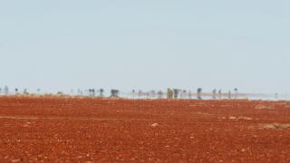 Gibber rocks with heat mirage in the background. Gibber rocks  are generally angular fragments formed from broken up duricrust, usually silcrete, a hardened crust of soil cemented by silica. South Australia, Australia, July 2011
