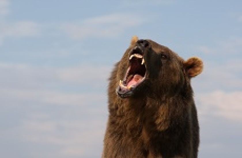Bear_roar_alamy_230x150
