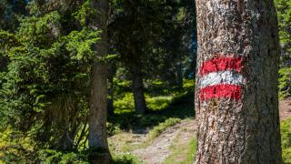 Austrian hiking blaze or trail marker, Austria, Europe