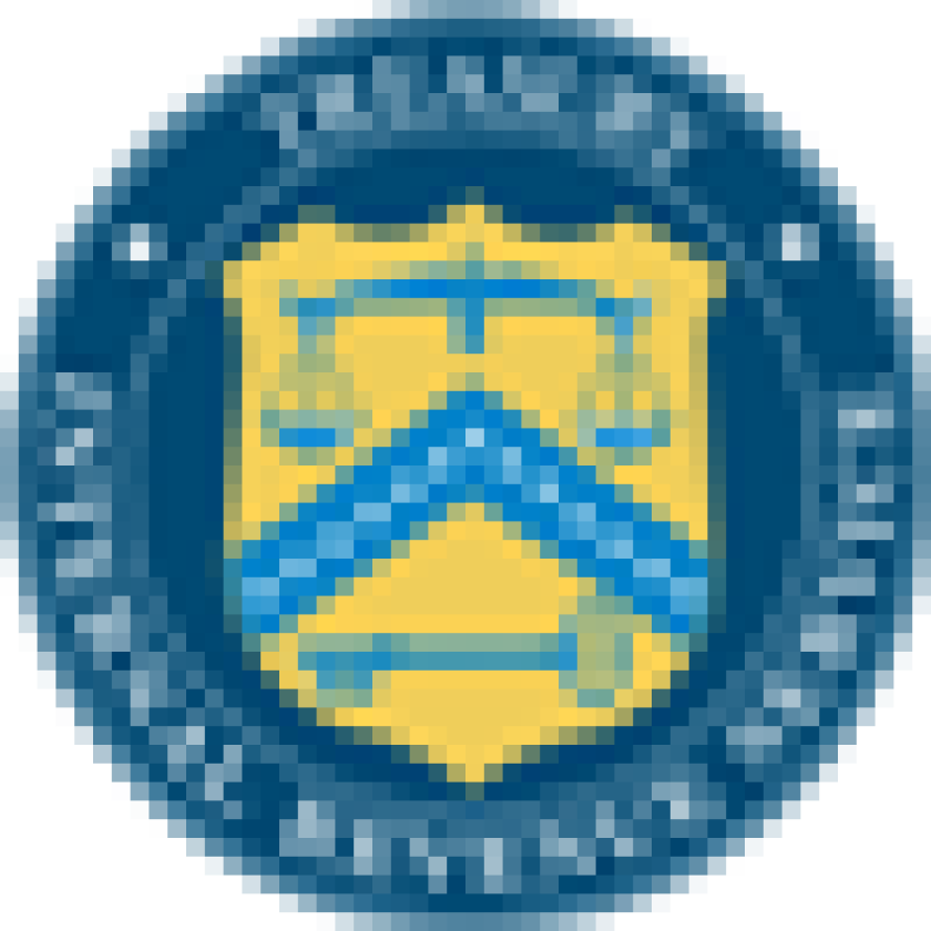 irsbadge50.png