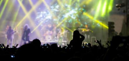 Cheering crowd at a concert
