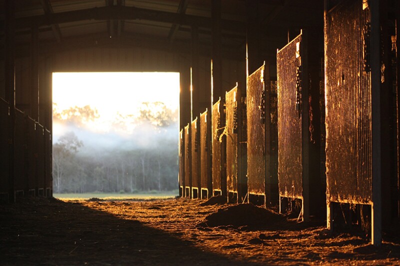 stable-door-horse-780