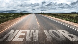 new job adobe stock 575 375
