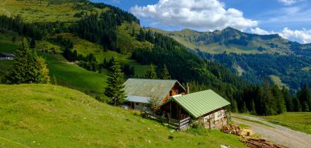 Austria, Tyrol, Juifen, Baier mountain pasture at way to Rotwand mountain pasture