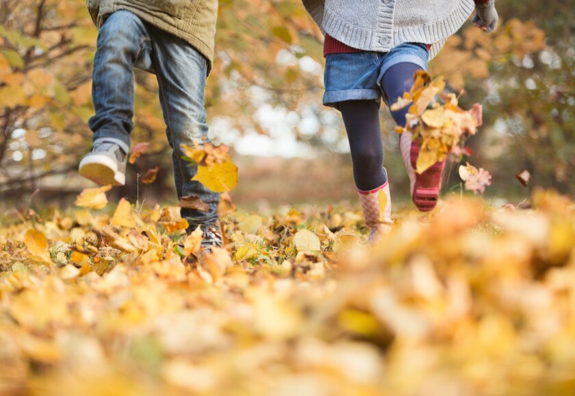 Children walking in autumn leaves