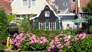 Dutch houses and garden