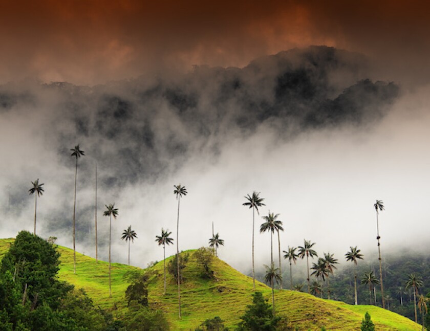 Colombia, valle de cocora, Salento, Quindio, Clouds, storm, rain, dark, LatAm