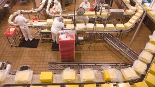 Women on the production line making cheddar cheese at Tillamook Cheese factory in Tillamook Oregon
