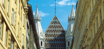 Vienna historical street