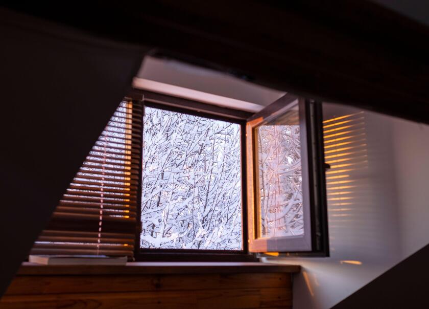 Trees in snow out of window, winter landscape.