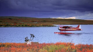 Caribou and beaver on floats Headwaters Thelon River The Barrens Northwest Territories Canada