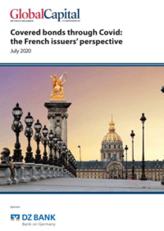 dz-french-rt.gif
