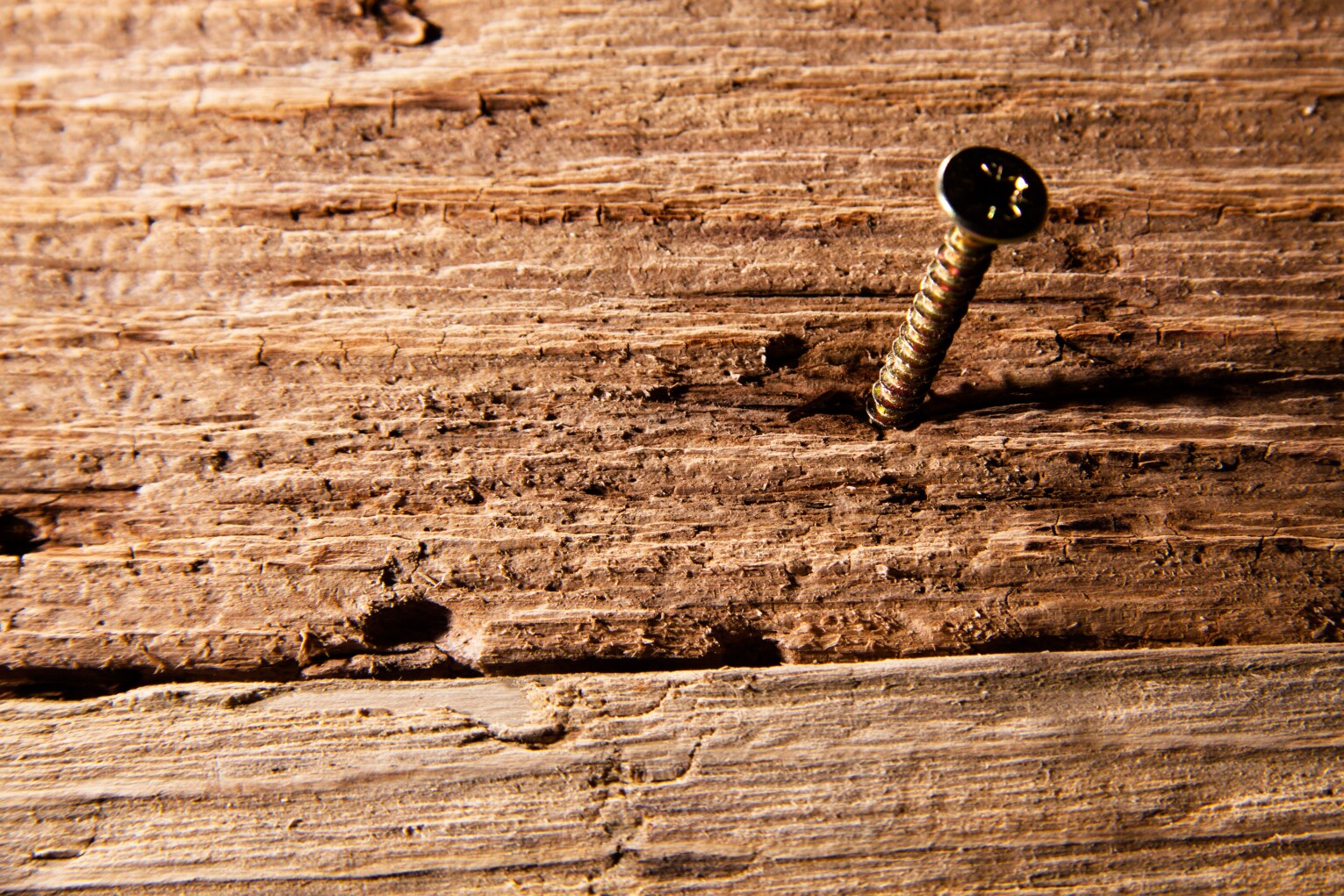 Screw in piece of old wood close up