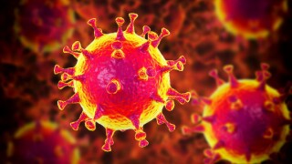 alamy 2021-08-06 coronavirus 575x375