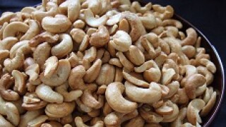 cashew nuts resized 230px
