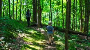 Adventurous toddler catching up to Mom on a wooded hiking trail.