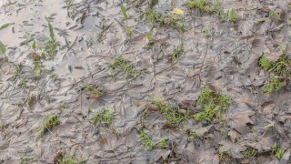 Soggy ground from Alamy 18Jan22 575x375