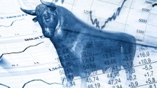 stock_bull_PA_230x150